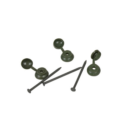 Picture of COROLINE FIXINGS GREEN PACK OF 20