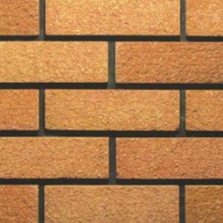 Picture of LOTHIAN RUSTIC (CONWAY MIDSUM) RUSTIC BRICK EACH
