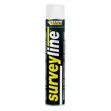 Picture of E/BUILD SURVEYLINE MARKING PAINT 700ML WHT