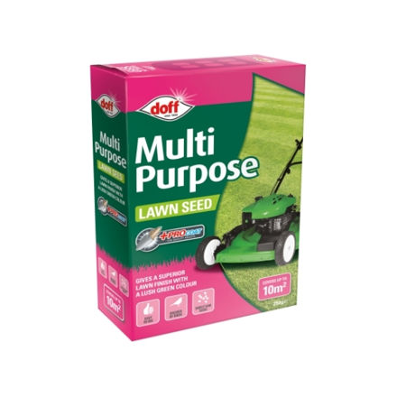 Picture of MULTI PURPOSE LAWN SEED 250G