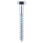 Picture of TIMCO COACH SCREW HEX HEAD SILVER M10 X 200MM