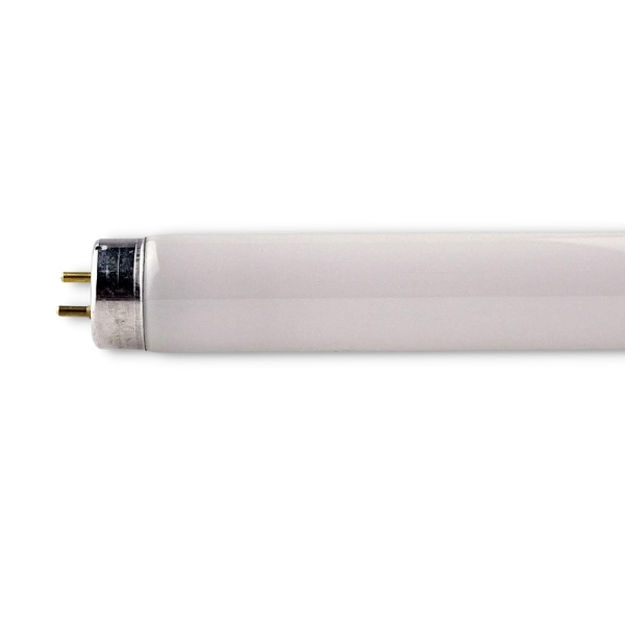 Picture of 1.8M (6') 70W T8 FLUORESCENT TUBE