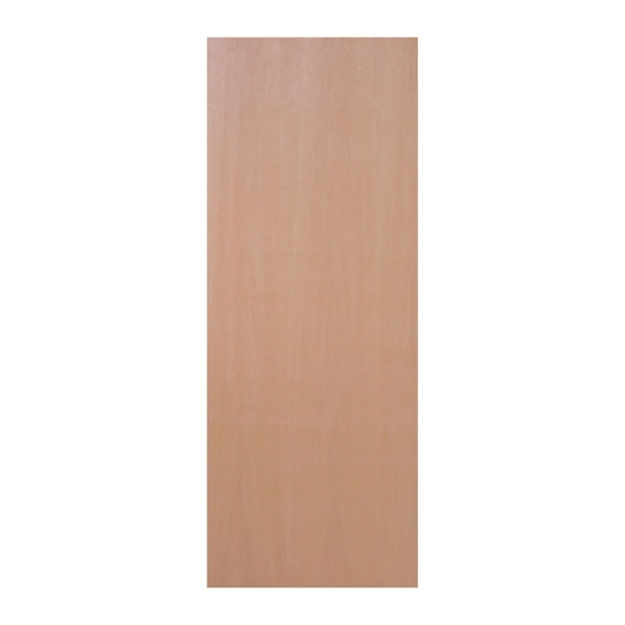 Picture of JB KIND PAINT GRADE FLUSH EXTERNAL PLYWOOD DOOR 44MM X 1981MM