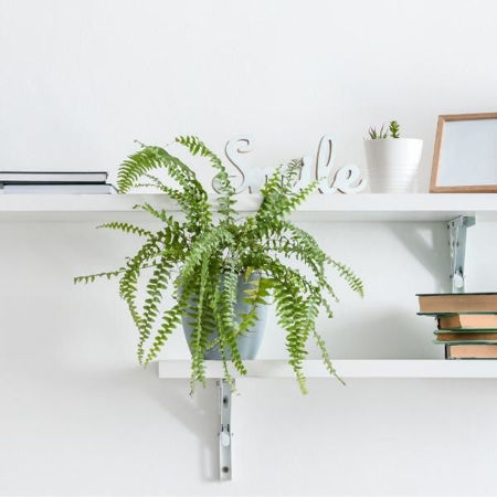 Picture for category Spurs & Shelf Brackets