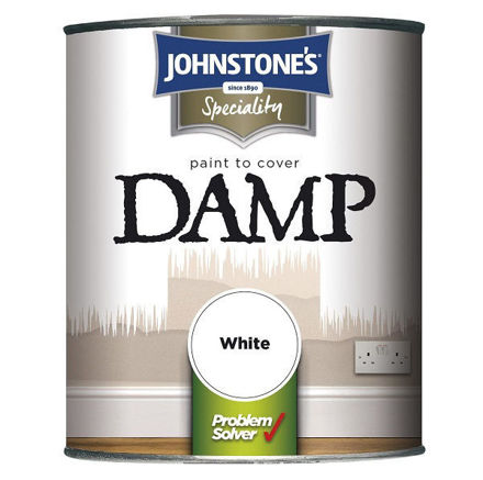 Picture of JOHNSTONES SPECIALITY DAMP PAINT WHITE