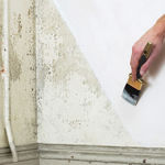 Picture of JOHNSTONES SPECIALITY DAMP PAINT WHITE