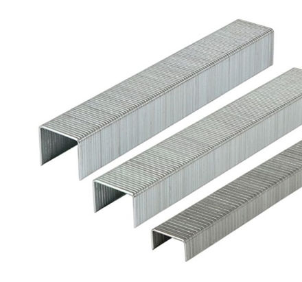 Picture of TIMCO Light Duty Chisel Point Galvanised Staples (PACK 1000)