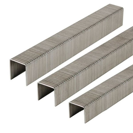 Picture of TIMCO Heavy Duty Chisel Point A2 Stainless Steel Staples (PACK 1000)