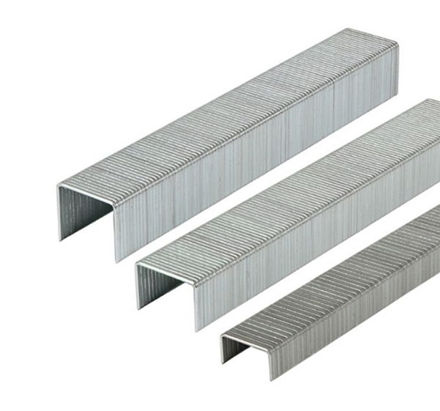 Picture of TIMCO Heavy Duty Chisel Point Galvanised Staples (PACK 1000)