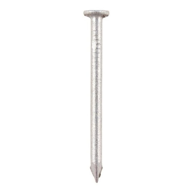 Picture of TIMCO Round Wire Nails Galvanised (0.5KG PACK)