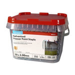 Picture of TIMCO Presser Point Staples Galvanised (2.5KG PACK)